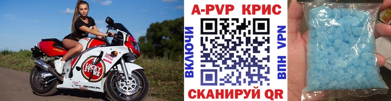 A PVP СК  Полярный 