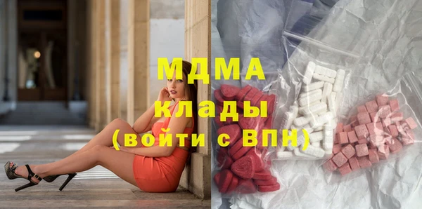 сатива Новозыбков