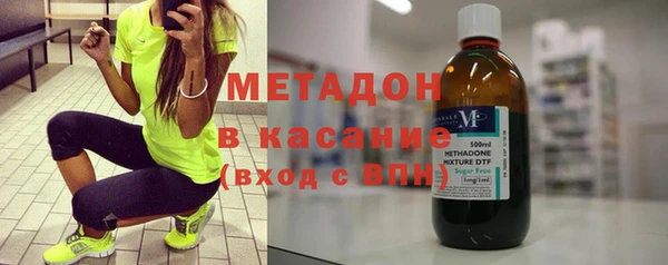 сатива Новозыбков