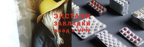 сатива Новозыбков