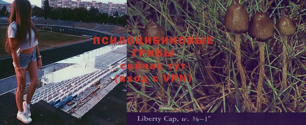 мдпв Новодвинск