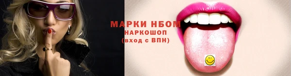 сатива Новозыбков