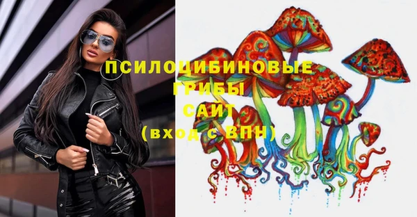 сатива Новозыбков