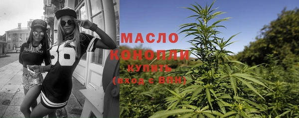 сатива Новозыбков
