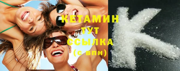 сатива Новозыбков