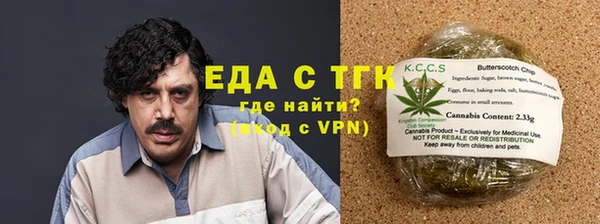 сатива Новозыбков
