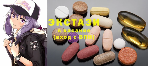 сатива Новозыбков
