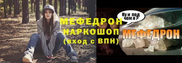 сатива Новозыбков
