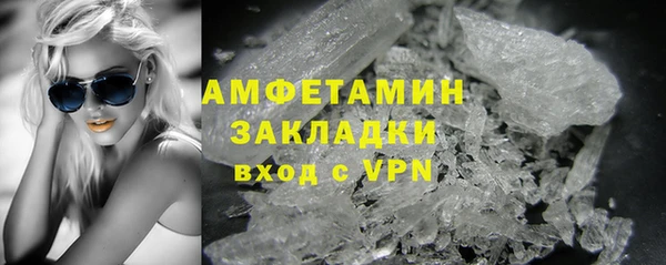сатива Новозыбков